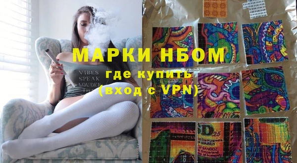 индика Алексин