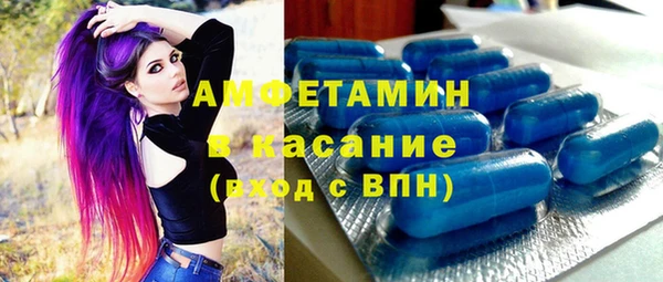 индика Алексин