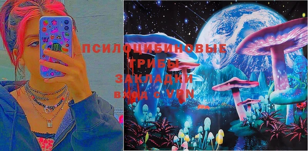 индика Алексин