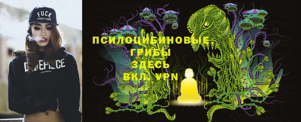 индика Алексин