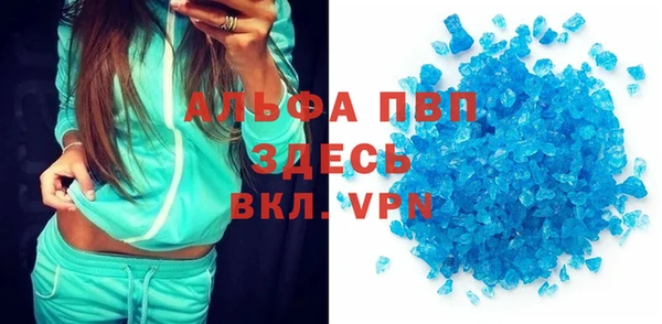 индика Алексин