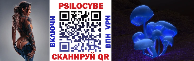 Галлюциногенные грибы GOLDEN TEACHER  купить  сайты  Пушкино 