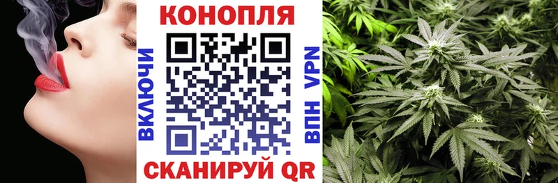 цены наркотик  Пушкино  Бошки марихуана Ganja 